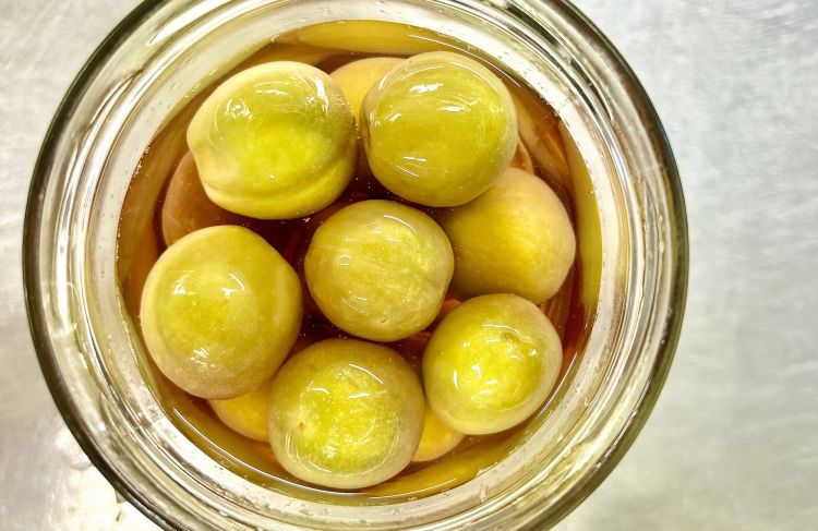 Assaggio interessantissimo in anteprima a Podere Francesco: albicocche verdi in agrodolce (sono messe sottovuoto in acqua, zucchero, sale e aceto di riso), una lavorazione che i fratelli D'Elpidio stanno portando avanti per lo chef Davide Di Fabio