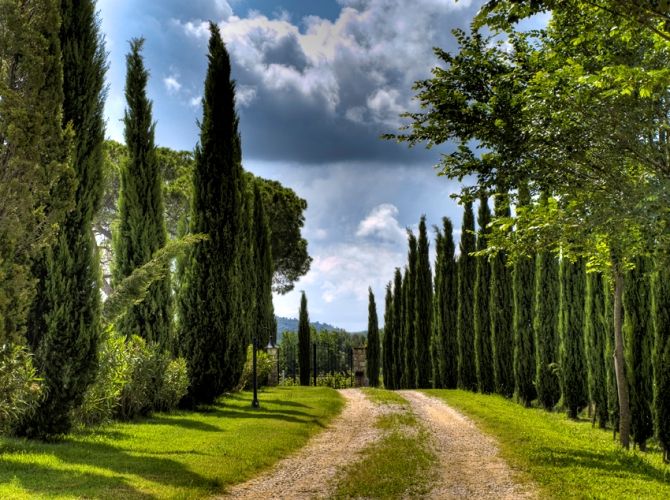 Il Poggiarello, agriturismo immerso nel verde della Maremma Toscana, annesso alla tenuta
