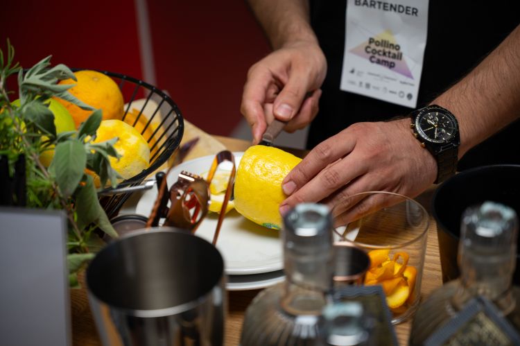 Pollino Cocktail Camp
