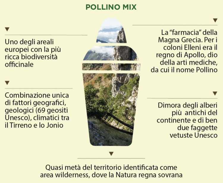 Perché il Pollino

