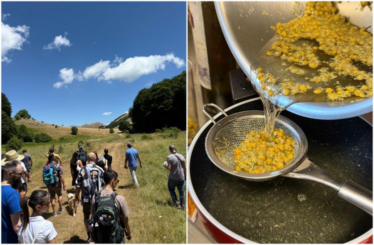 Dal foraging, alle lavorazioni...