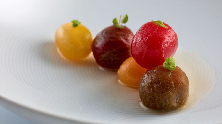 Tomates en salsa, hierbas aromáticas y fondo de a