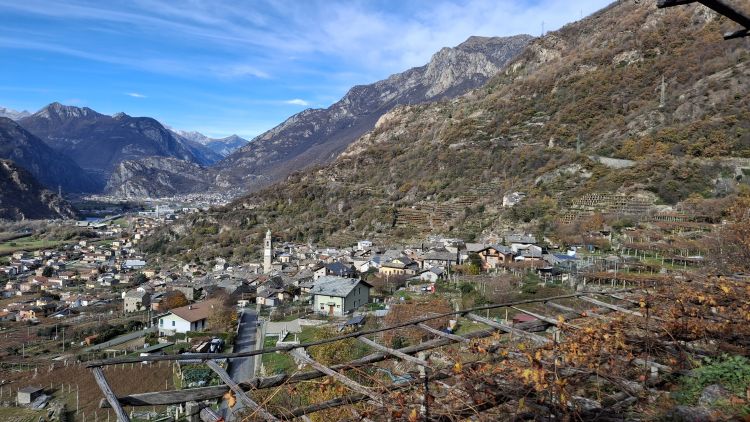 Una panorama di Carema dai terrazzamenti
