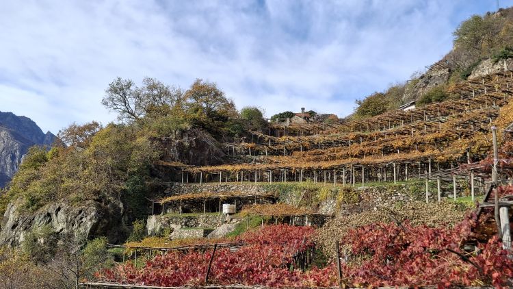 I gradoni scavati nella roccia: si tratta dell'architettura topiaria

