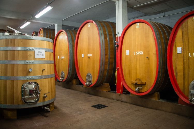 La cantina di affinamento
