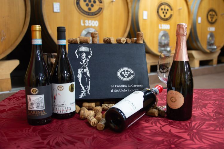 I vini prodotti dalla cooperativa
