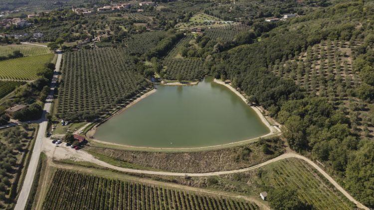 Vista sul Trasimeno, in Umbria