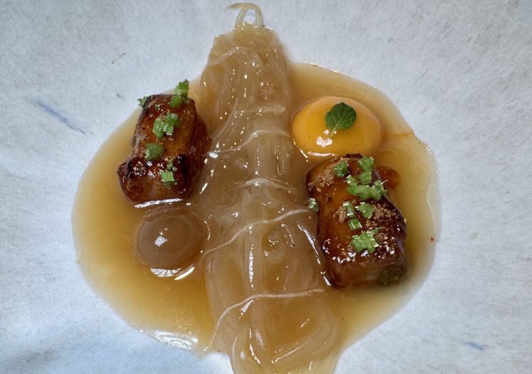 Puchero di pinna di squalo
