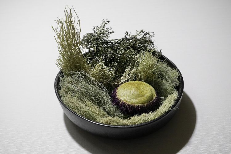 Gel di limone, gelato ai ricci di mare, marmellata al finocchietto marino, polvere di alghe