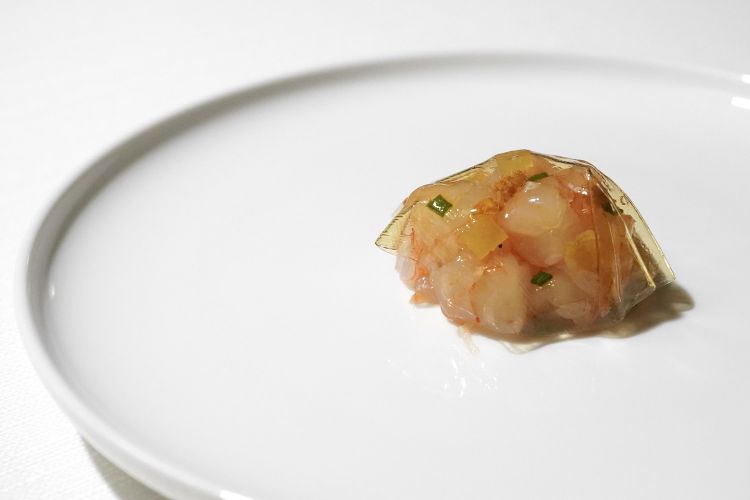 Gambero, gel di ponzu
