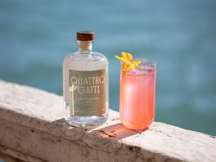 L'Olive Grove Gin di Quattro Gatti e The Ref
