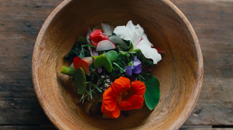 Piatti floreali al Dattilo