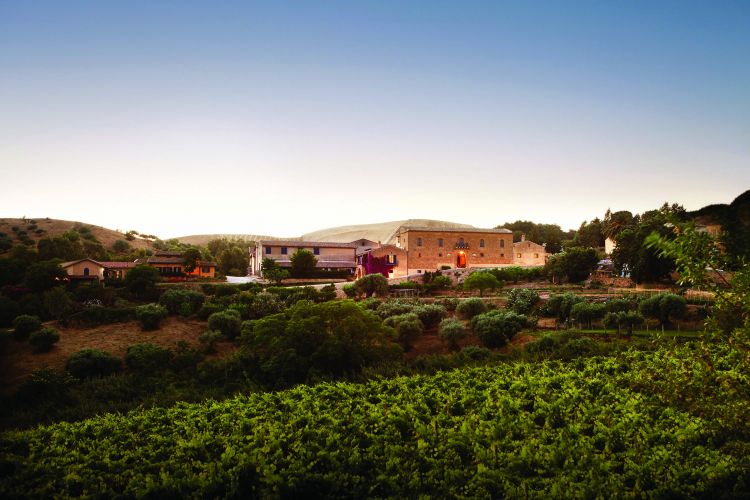 La tenuta di Regaleali
