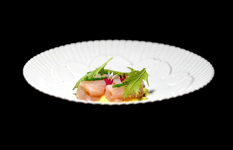 Ricciola del Pacifico, salsa di miso bianco e yuzu, salsa verde con il coriandolo e insalata mizuna. A parte una granita allo yuzu