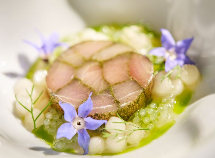 Clicca qui per visualizzare la videoricetta della�