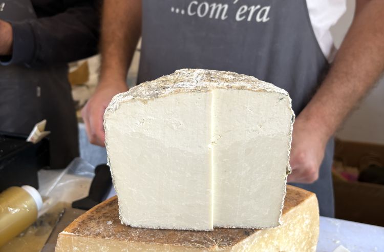 La ricotta di pecora stagionata de L’arte del pastore