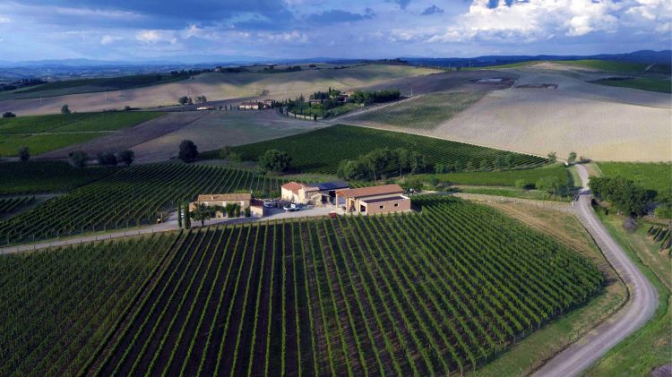 Uno splendido panorama della tenuta Ridolfi a Mont