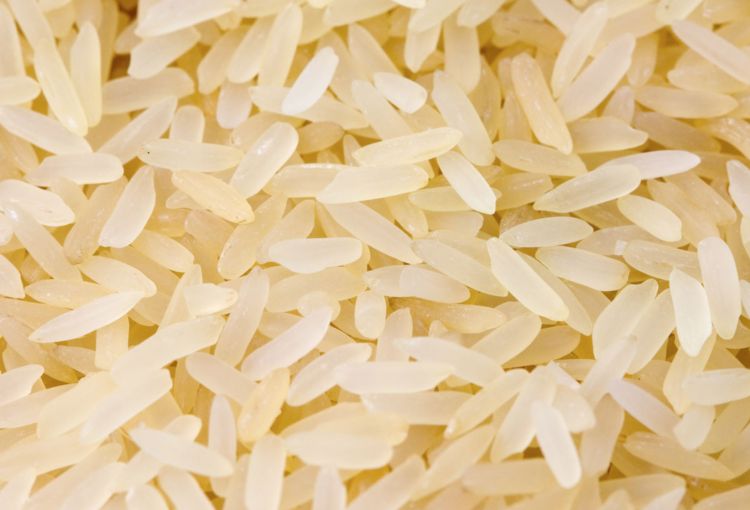 &Egrave; il riso l'ingrediente&nbsp;simbolo della Giornata della ristorazione 2026
