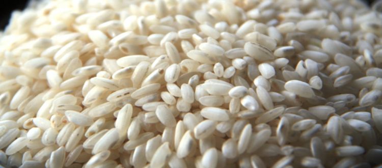 Il riso &egrave; l'ingrediente simbolo di questa nuova edizione della Giornata della ristorazione 2026
