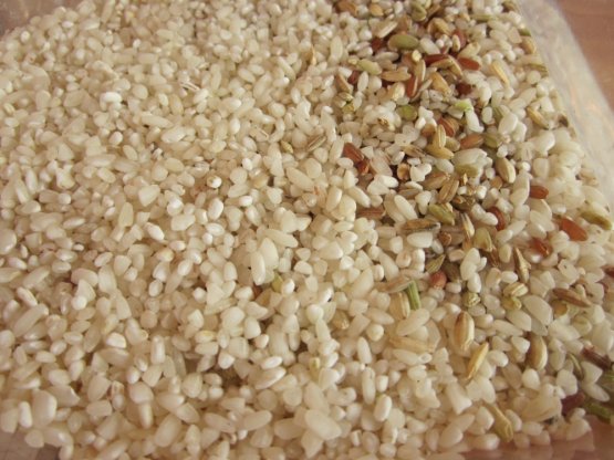 Il riso Carnaroli in lavorazione alla Riserva San 