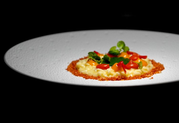 Risotto "Hera nei Campi" con pomodorini e olio evo del Cilento
