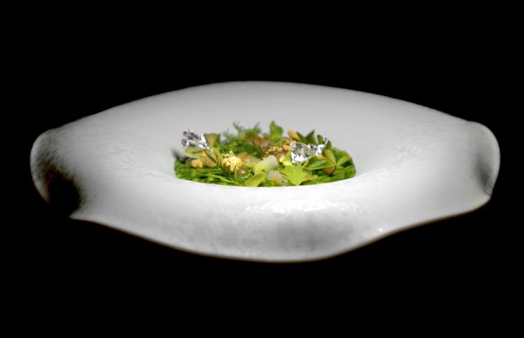 Risotto, erbe di montagna, cannolicchi e cedro: erbe di montagna raccolte nel bosco di Fighine (ortica, erba del frate, radicchiella...), cannolicchi, gel di cedro, ostriche liofilizzate