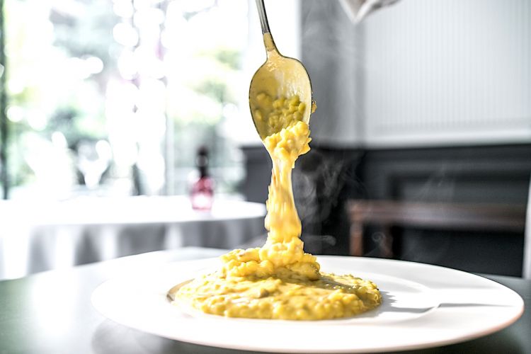 Philippe Léveillé: Risotto with mushrooms and sweet mountain cheese, since 1963 in the menu in the restaurants of the Piscinis, between the villages of Caino and Concesio in Val Trompia, Brescia
