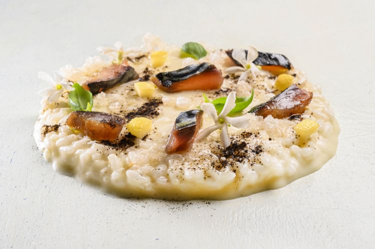 Il Risotto “Il Chicco del Mulino”, limone salato, sgombro affumicato, gelsomino
