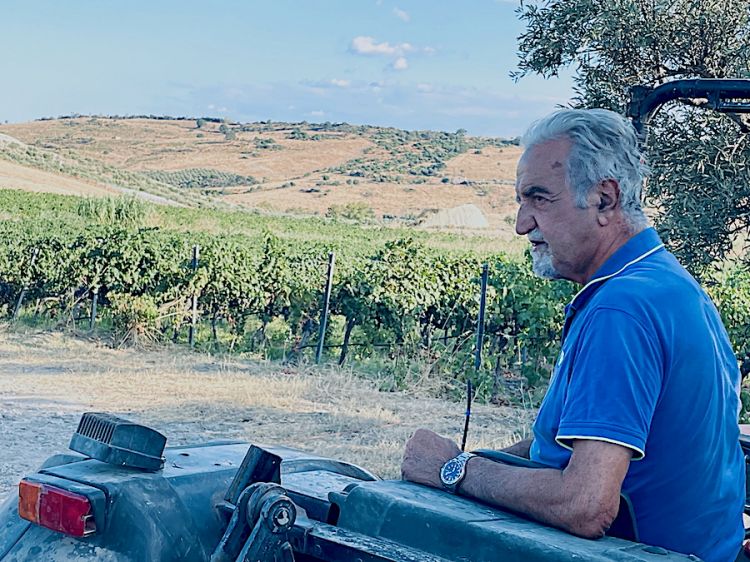 Roberto Ceraudo sul trattore con il quale gira la tenuta che, in Contrada Dattilo a Strongoli, porta il suo nome
