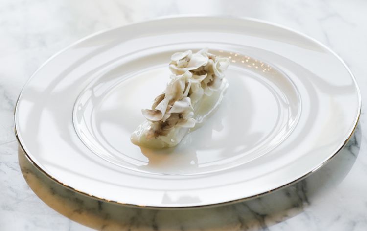 Rombo, funghi e alloro
