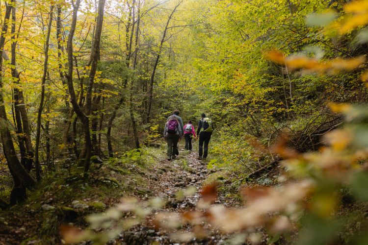 Pellegrini contemporanei (e golosi) lungo l'an