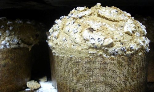 Il panettone alla birra di Rosanna Marziale, cuoca