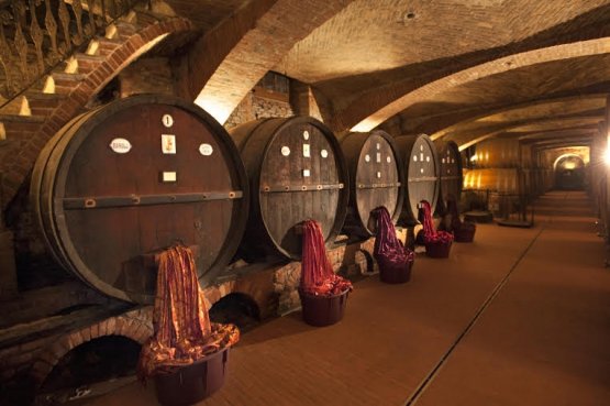The barrels in the winery founded by Emanuele Albe