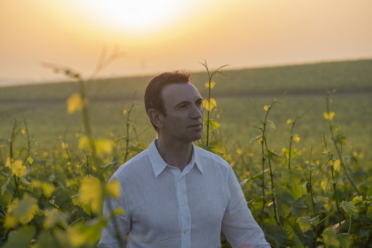 Frédéric Panaïotis
