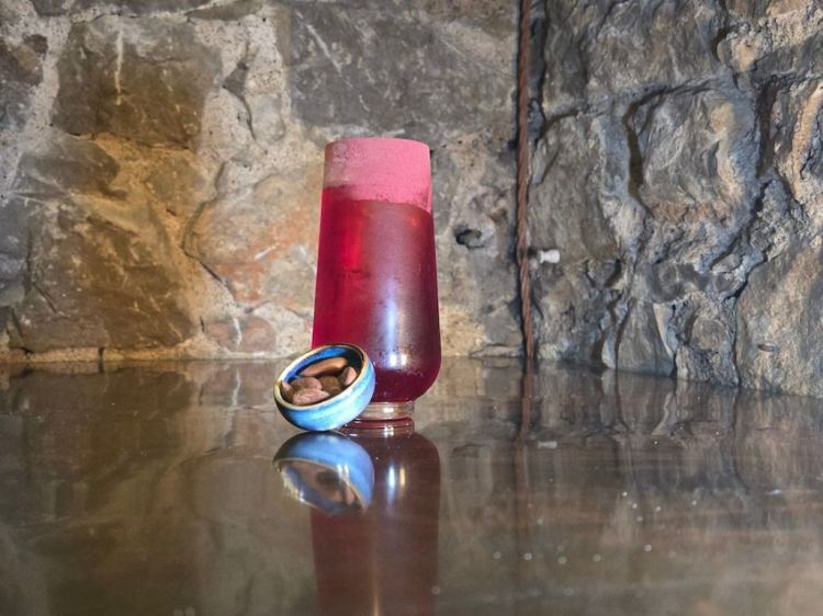 Zahara, con&nbsp;pepe, rosa, zenzero,&nbsp;cumino e ibisco.&nbsp;Un tributo alla danza del ventre come forma di liberazione femminile nei Paesi arabi pre-sharia
