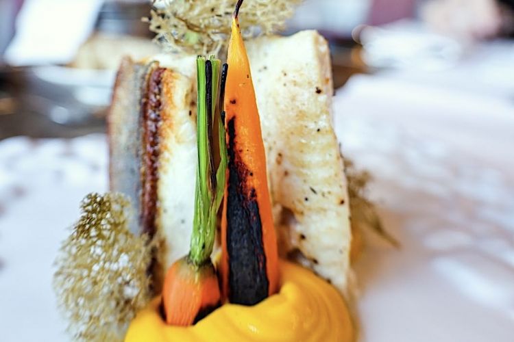 Filetto di salmerino con pino mugo, licheni e caro