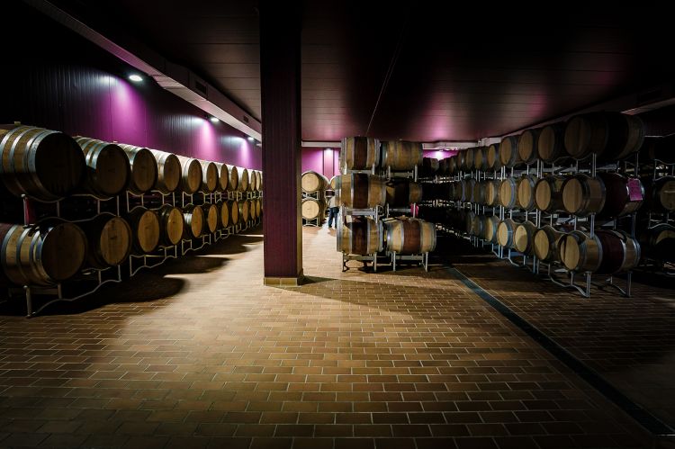 Wine cellar di Sapaio
