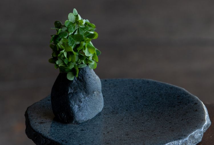 Crudo di capasanta di Tongoy
