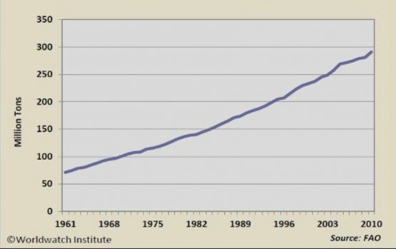 The vertiginous increase in global meat consumption