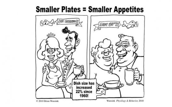 Una vignetta tratta da smallplatemovement.org, movimento americano che suggerisce di contrastare l'obesità attraverso la riduzione del diametro dei piatti: riducendolo da 30 a 25 centimetri, sostengono, il numero di calorie ingerite si abbassa in media del 22%
