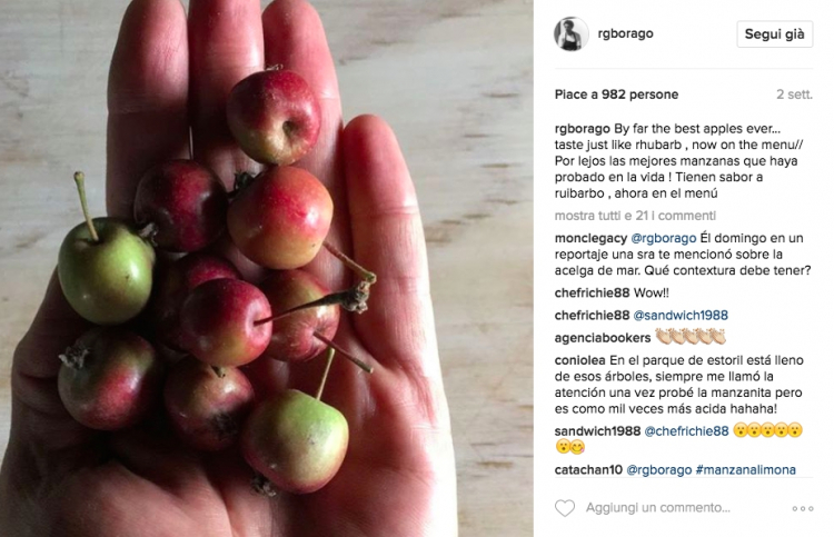 Guzman tiene in mano delle micromele: "sanno di rabararo", commenta entusiasta su instagram