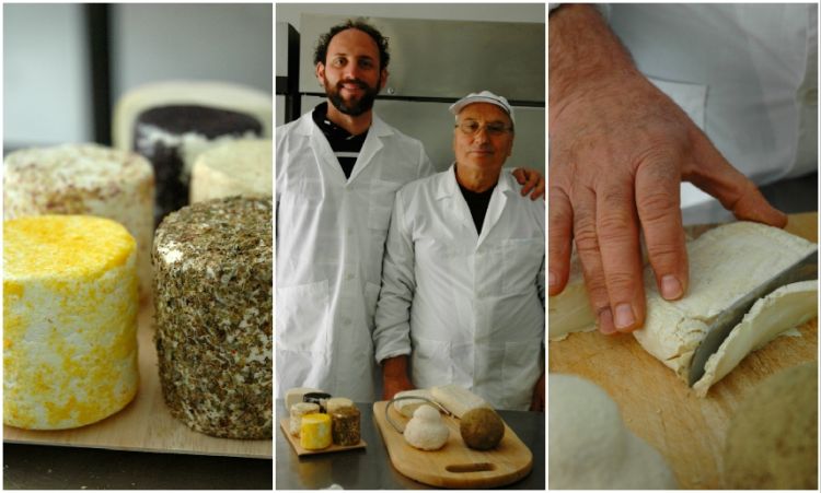 Al centro, Davide Lonardo e Giacomo Gatì davanti al prodotto della loro arte. A sinistra alcune forme di robiole aromatizzate. A destra Muscio, il formaggio da latte di capra girgentana preferito di Ciccio Sultano
