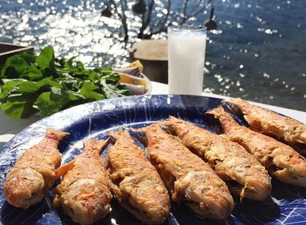 Traditional Turkish cuisine. The photo is from Gürs’s Instagram account, reporting on one of his many travels discovering the culinary roots of Anatolia 
