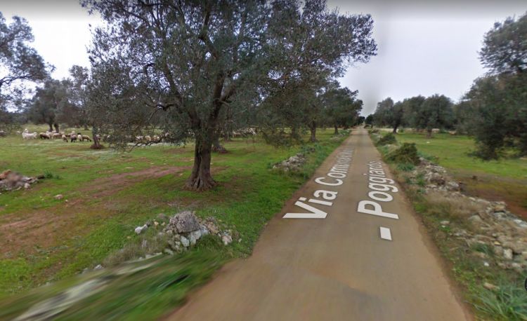 La via comunale Matino Poggiardo a Scorrano, vista da Google Maps: qui sorgerà Roots
