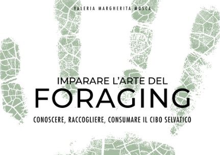 Particolare di copertina. Il libro, prefazione di Enrico Vignoli, si può acquistare anche online scontato sul sito di Giunti