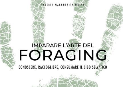 Particolare di copertina. Il libro, prefazione di Enrico Vignoli, si può acquistare anche online scontato sul sito di Giunti
