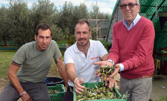 Marco, David e papà Piero Vaiani nel loro podere sopra Lucca