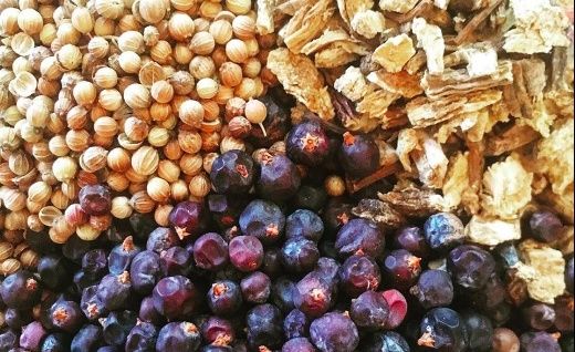 Bacche di ginepro, radice di angelica, semi di coriandolo, la sacra triade di Eugin