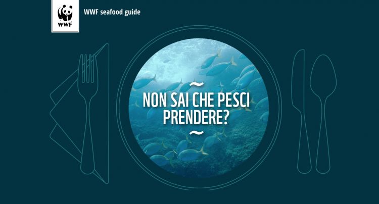 L'homepage della seafood guide pescesostenibi