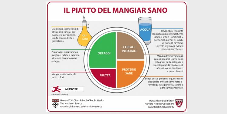 Lo schema dell'alimentazione corretta firmata Harvard Medical School